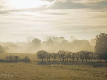 Misty morning on the farm