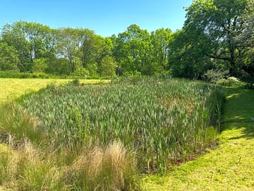 Surrounding countryside