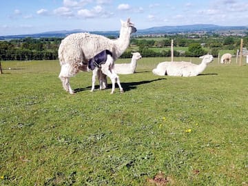 Clee and severn valley views