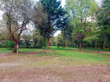 Grass pitches