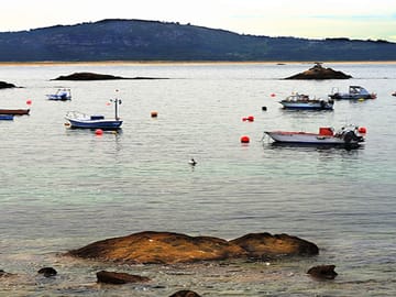 Coast nearby