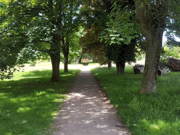 Grounds