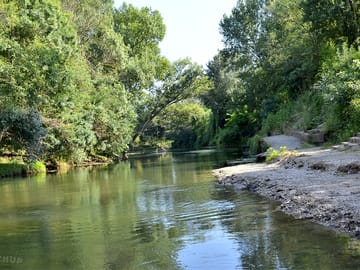 The river as it passes the site