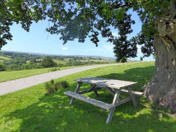 Picnic bench on site