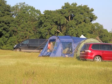 Tent pitches sheltered by trees