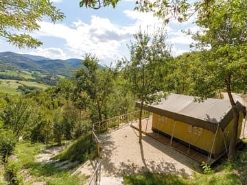 Forested hill views