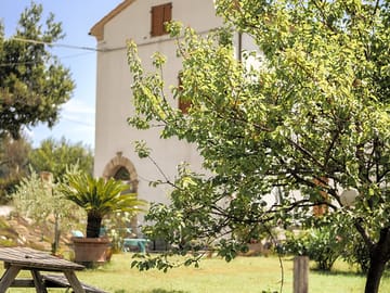 Around the site