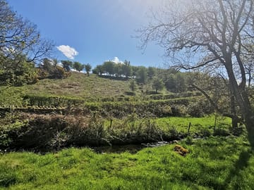 Scenery around the site