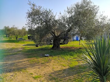 Pitch for caravans, campervans or tents