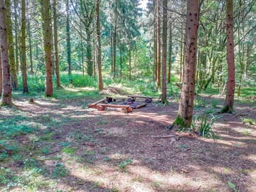 Woodland space