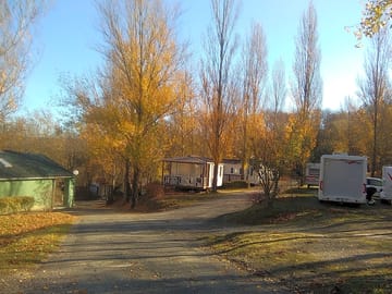 Trees around the site