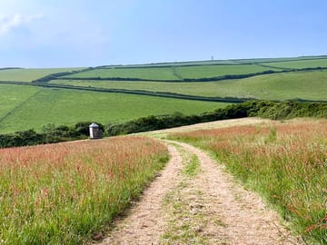 Path to extra pitches