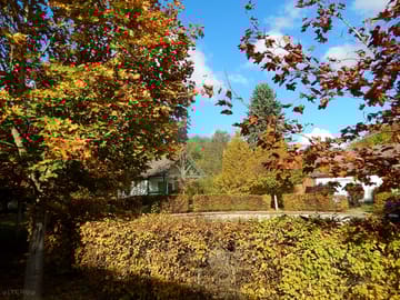 Site in autumn