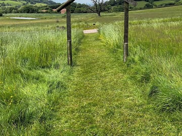 Path to the camping pitches
