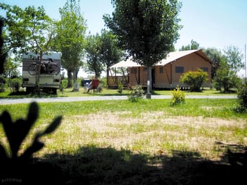 Around the site