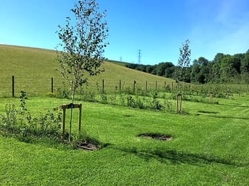 Grass pitches