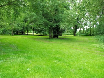 The site contains many different trees and shrubs providing the perfect environment for wildlife