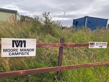 Wild grass and flower bank