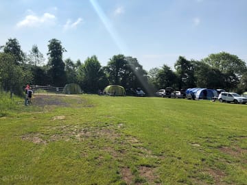 Trees offer shade in lakeside tent field