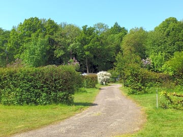 Camping pitches