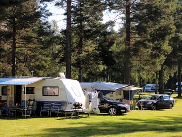 Large pitches shaded by trees