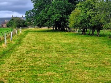 Pitches sheltered by trees