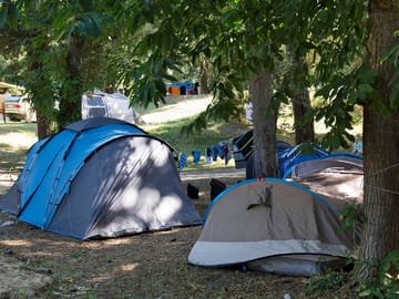 Pitches among the trees