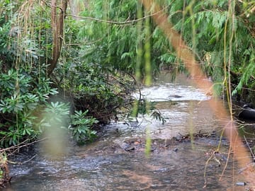 St martins burn