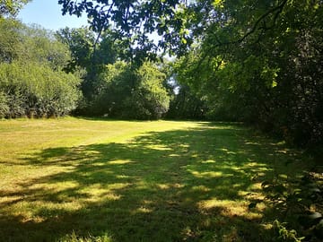 Main pitches field