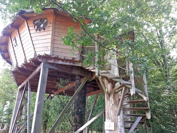 Sheltered treehouse