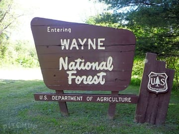 Hiking and exploring the forest