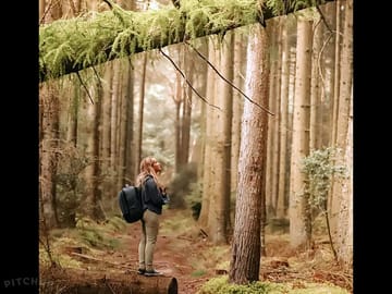 Visitors photo