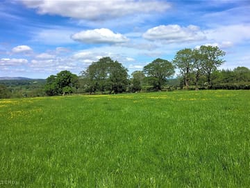 Pole meadow