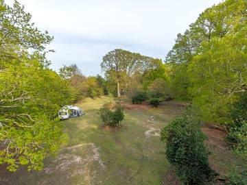 Forest view
