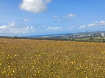 View towards redruth