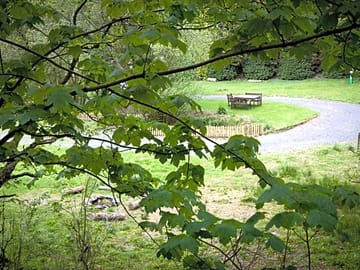 Through trees