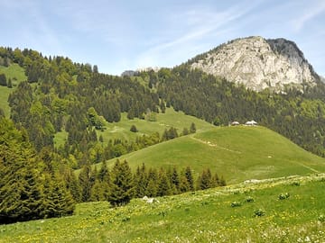 A view from the bauge
