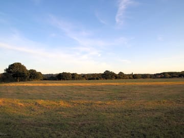 Another of the fields you can choose to pitch in with woodland at the rear