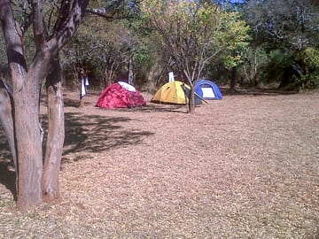 Lots of trees around