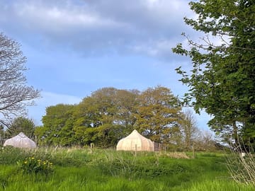 Tents in a private field