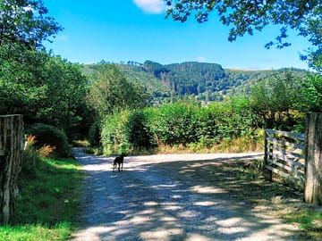Gravel track pitch