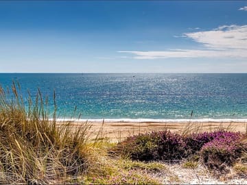 Beautiful southbourne beach from the dunes