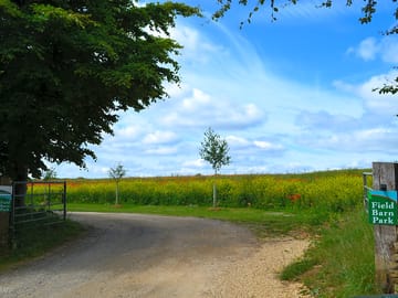 Wild flowers border the crop fields that flank the drive to field barn park.