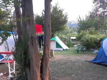 Tent pitches