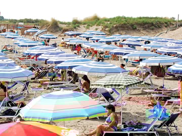 The beach