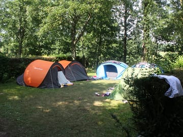Hedges around the pitches
