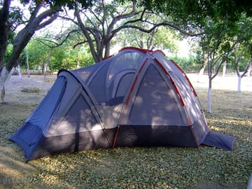 Tent pitches under the trees