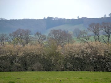 Sheltered pitches