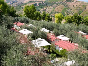 View of the static caravans