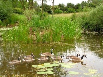 Park grange holidays near ironbridge, shropshire